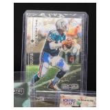 (12) Assorted Dolphin