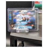 (12) Assorted Dolphin