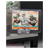 (12) Assorted Dolphin