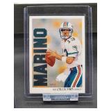 (12) Assorted Dolphin