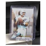 (12) Assorted Dolphin