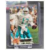 (12) Assorted Dolphin