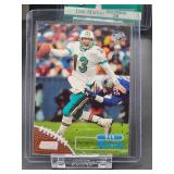 (12) Assorted Dolphin