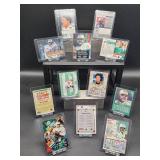 (12) Assorted Dolphin