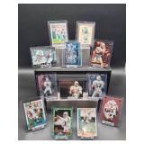 (12) Assorted Dolphin