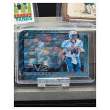 (12) Assorted Dolphin