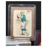 (12) Assorted Dolphin