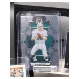 (12) Assorted Dolphin