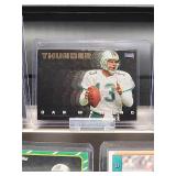 (12) Assorted Dolphin