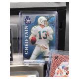 (12) Assorted Dolphin