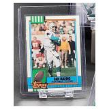 (12) Assorted Dolphin