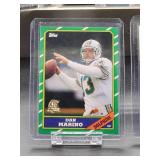 (12) Assorted Dolphin