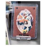 (12) Assorted Dolphin