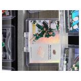 (12) Assorted Minnesota Wild Hockey Cards
