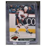 (12) Assorted Minnesota Wild Hockey Cards