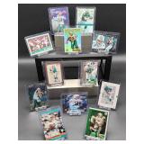 (12) Assorted Dolphin