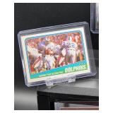 (12) Assorted Dolphin