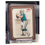 (12) Assorted Dolphin