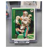 (12) Assorted Dolphin