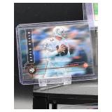 (12) Assorted Dolphin