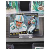 (12) Assorted Dolphin