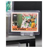 (12) Assorted Dolphin