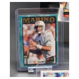 (12) Assorted Dolphin