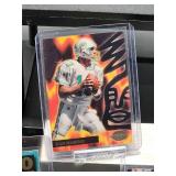 (12) Assorted Dolphin