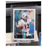 (12) Assorted Dolphin