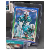 (12) Assorted Dolphin