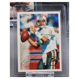 (12) Assorted Dolphin