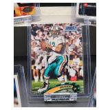 (12) Assorted Dolphin