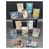 (12) Assorted Dolphin