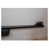 Rossi RS22 .22 LR Semi-Auto Rifle