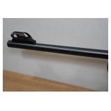 Rossi RS22 .22 LR Semi-Auto Rifle