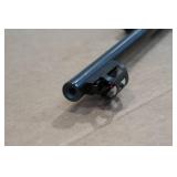 Rossi RS22 .22 LR Semi-Auto Rifle