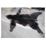 Minnesota Black Bear Rug with Front Claws