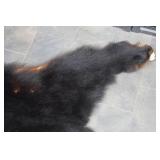 Minnesota Black Bear Rug with Front Claws