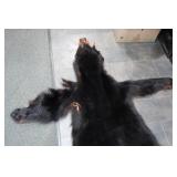 Minnesota Black Bear Rug with Front Claws