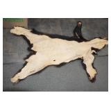 Minnesota Black Bear Rug with Front Claws