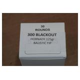 30 .300 Blackout 125 Gr Hornady Ballistic Tip Ammo