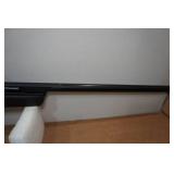 Gamo  Varmint .177 Cal Air Rifle with Scope