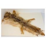 Vintage Fox Hide