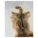 Vintage Fox Hide