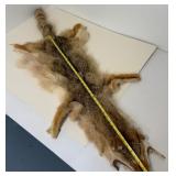 Vintage Fox Hide