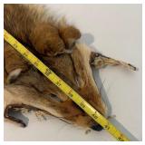 Vintage Fox Hide