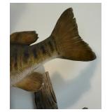 Taxidermy Mounted Trout and Bass