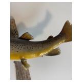 Taxidermy Mounted Trout and Bass