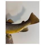 Taxidermy Mounted Trout and Bass