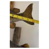 Taxidermy Mounted Trout and Bass